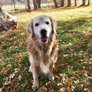 Meet your Posher, Sheryll